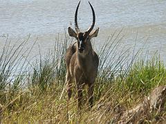 090517_Pilanesberg 132